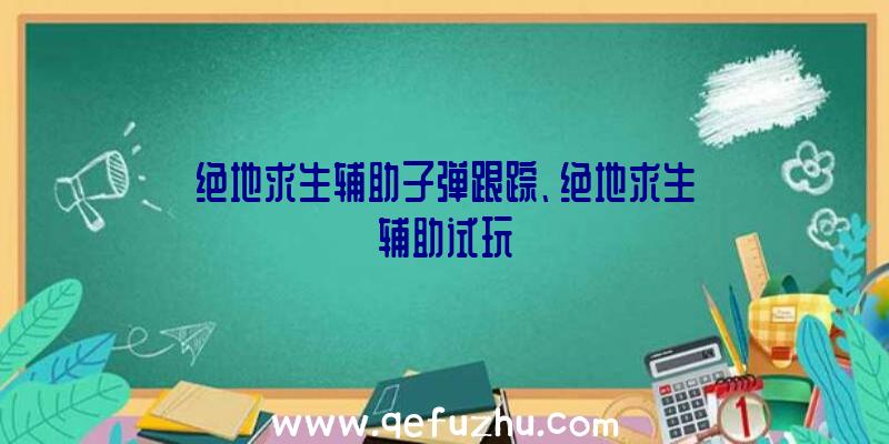 绝地求生辅助子弹跟踪、绝地求生辅助试玩