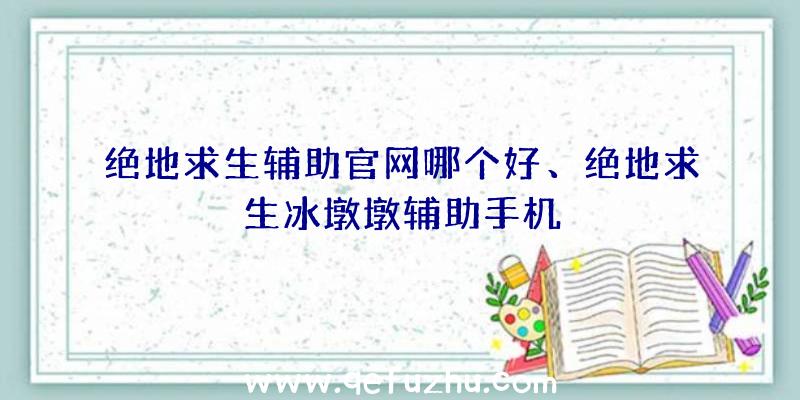 绝地求生辅助官网哪个好、绝地求生冰墩墩辅助手机