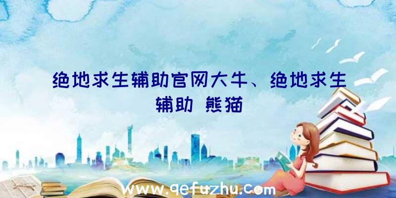 绝地求生辅助官网大牛、绝地求生辅助