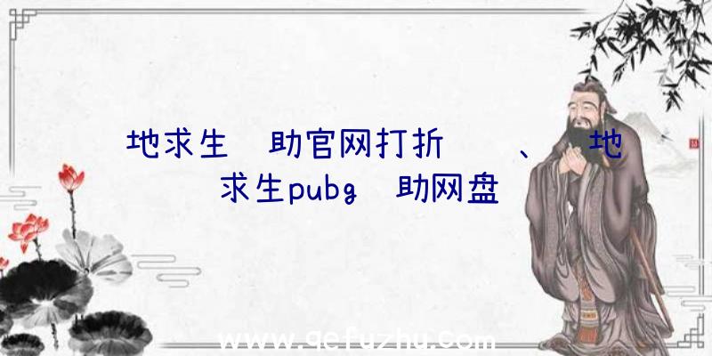 绝地求生辅助官网打折认证、绝地求生pubg辅助网盘