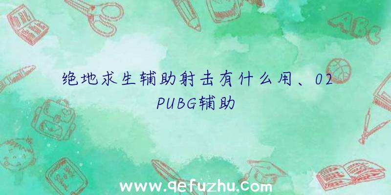 绝地求生辅助射击有什么用、02PUBG辅助