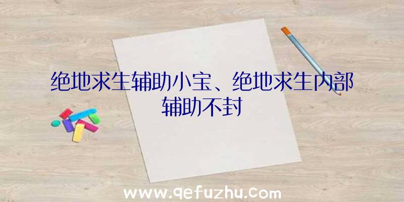 绝地求生辅助小宝、绝地求生内部辅助不封