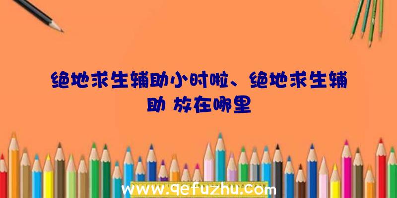 绝地求生辅助小时啦、绝地求生辅助