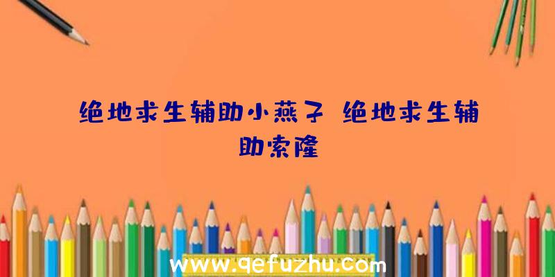 绝地求生辅助小燕子、绝地求生辅助索隆