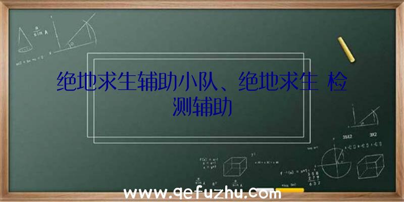 绝地求生辅助小队、绝地求生