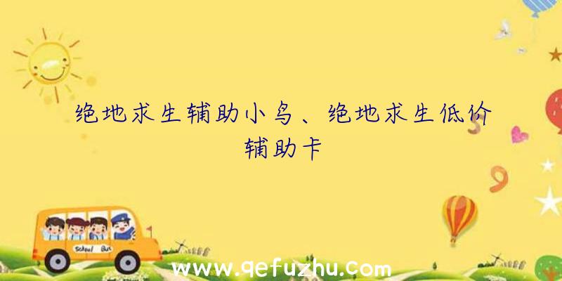 绝地求生辅助小鸟、绝地求生低价辅助卡