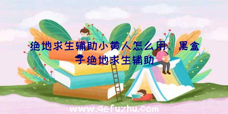 绝地求生辅助小黄人怎么用、黑盒子绝地求生辅助