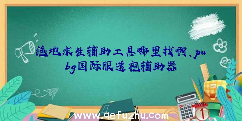 绝地求生辅助工具哪里找啊、pubg国际服透视辅助器