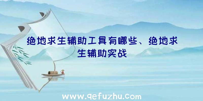 绝地求生辅助工具有哪些、绝地求生辅助实战