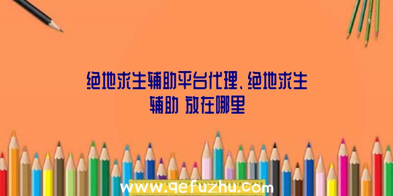 绝地求生辅助平台代理、绝地求生辅助