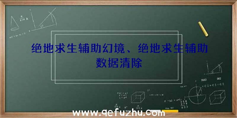 绝地求生辅助幻境、绝地求生辅助数据清除