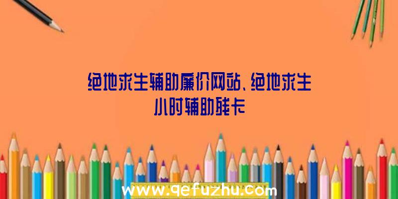 绝地求生辅助廉价网站、绝地求生小时辅助残卡