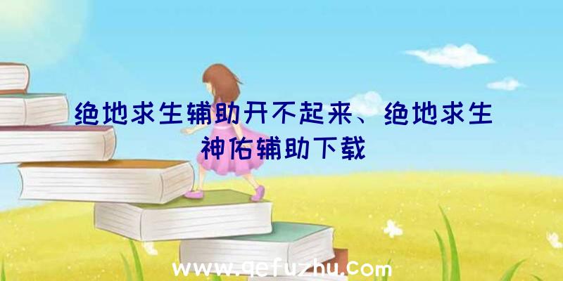 绝地求生辅助开不起来、绝地求生神佑辅助下载