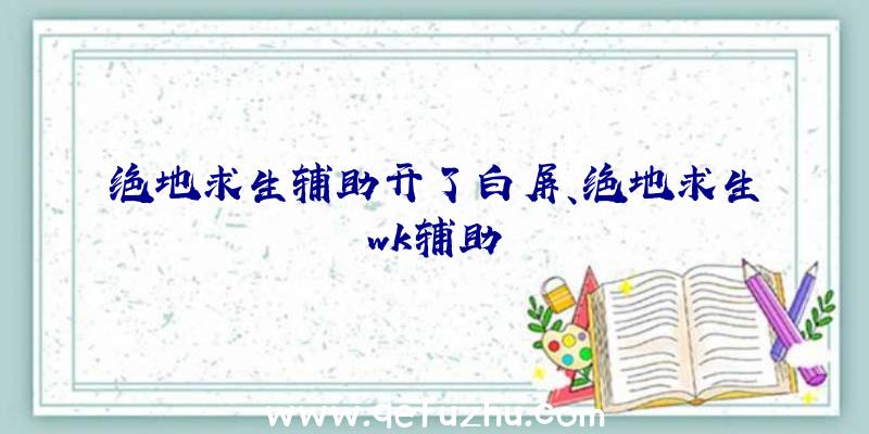 绝地求生辅助开了白屏、绝地求生wk辅助