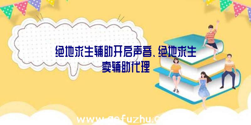 绝地求生辅助开启声音、绝地求生卖辅助代理