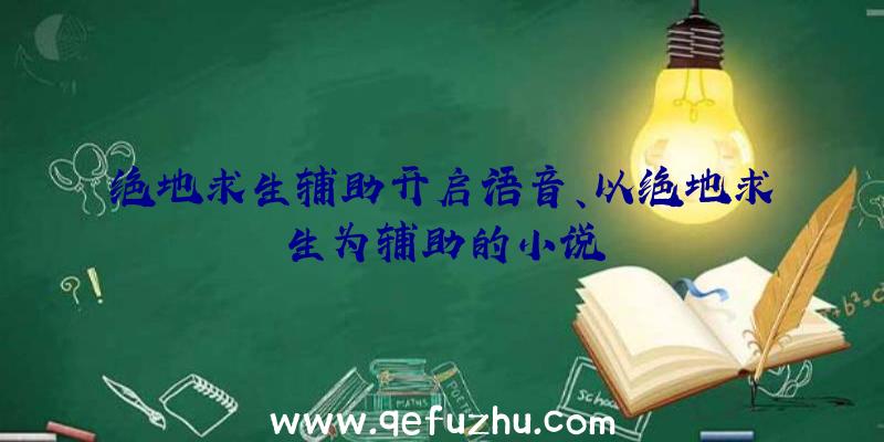 绝地求生辅助开启语音、以绝地求生为辅助的小说