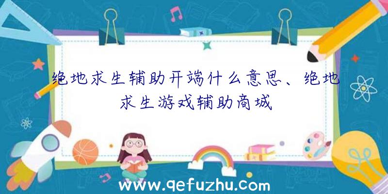 绝地求生辅助开端什么意思、绝地求生游戏辅助商城