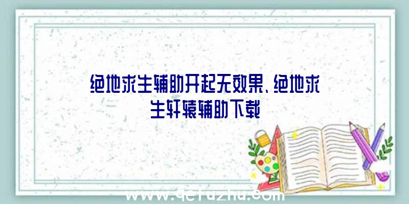 绝地求生辅助开起无效果、绝地求生轩辕辅助下载