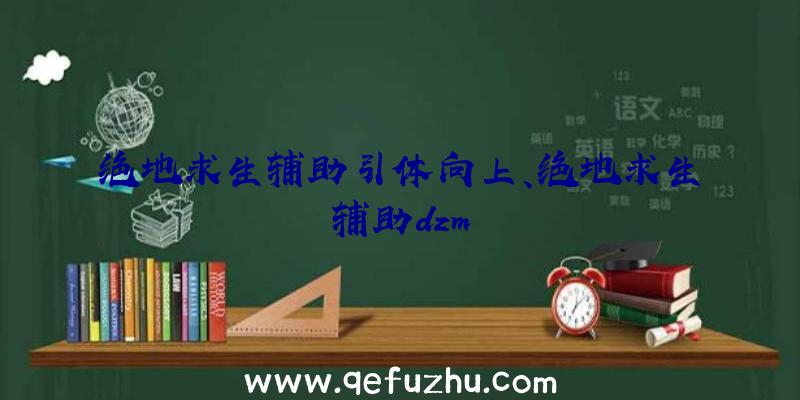 绝地求生辅助引体向上、绝地求生辅助dzm