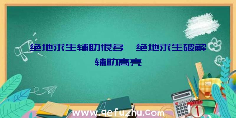 绝地求生辅助很多、绝地求生破解辅助高亮