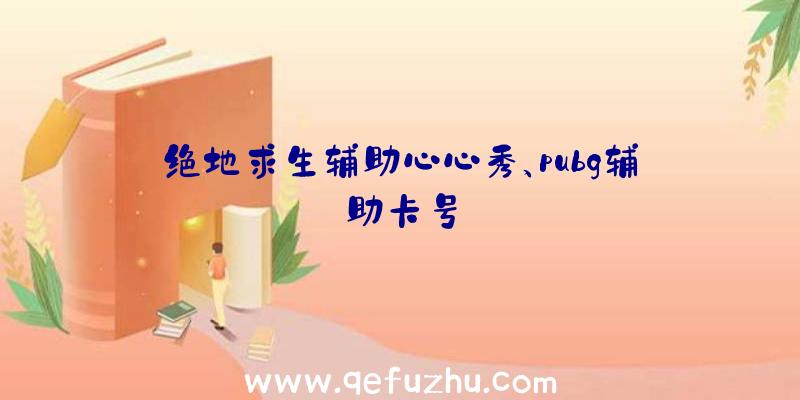 绝地求生辅助心心秀、pubg辅助卡号