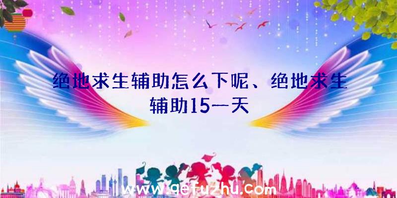 绝地求生辅助怎么下呢、绝地求生辅助15一天