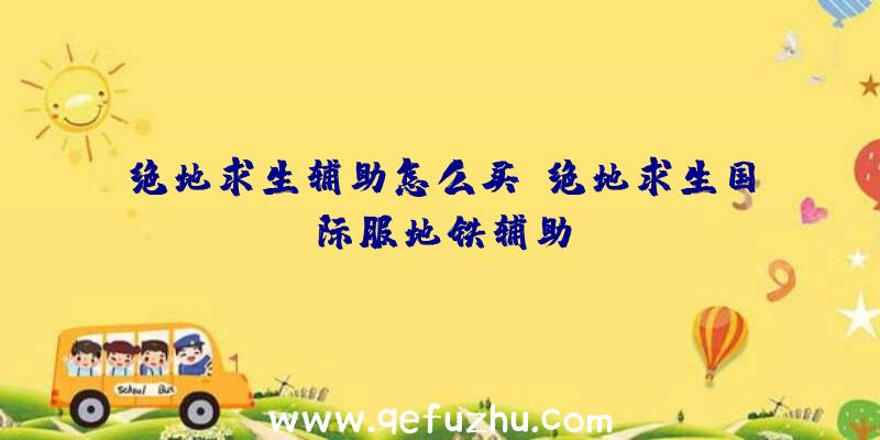 绝地求生辅助怎么买、绝地求生国际服地铁辅助