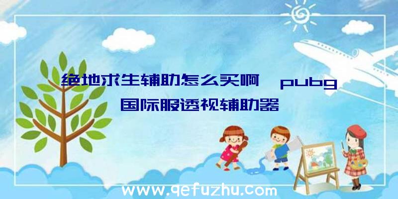 绝地求生辅助怎么买啊、pubg国际服透视辅助器