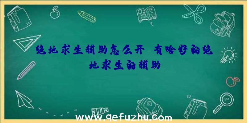 绝地求生辅助怎么开、有啥好的绝地求生的辅助