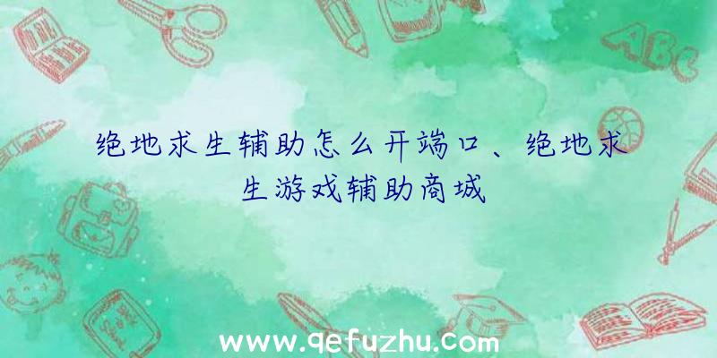 绝地求生辅助怎么开端口、绝地求生游戏辅助商城