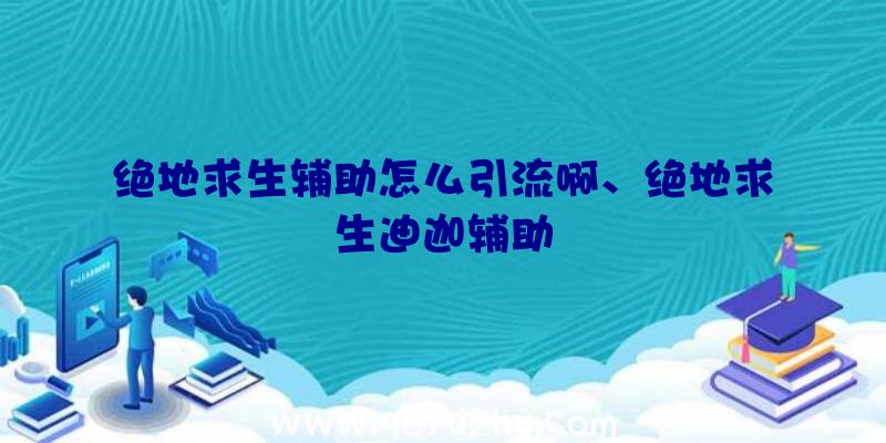 绝地求生辅助怎么引流啊、绝地求生迪迦辅助