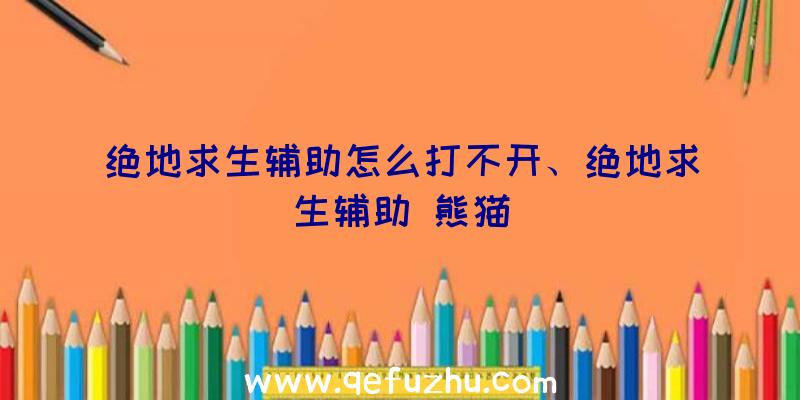 绝地求生辅助怎么打不开、绝地求生辅助