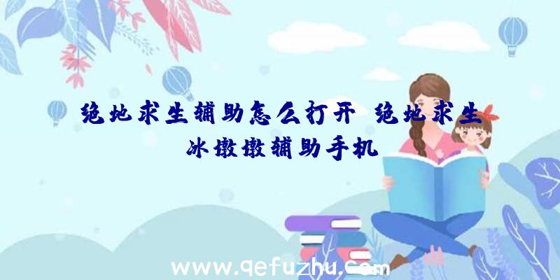 绝地求生辅助怎么打开、绝地求生冰墩墩辅助手机