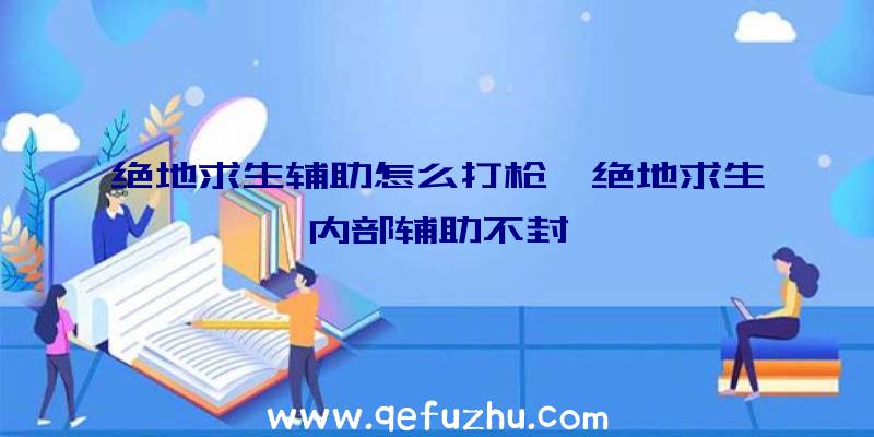 绝地求生辅助怎么打枪、绝地求生内部辅助不封