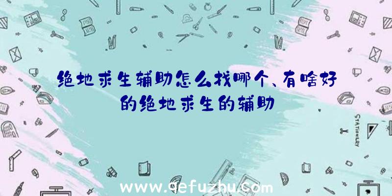 绝地求生辅助怎么找哪个、有啥好的绝地求生的辅助