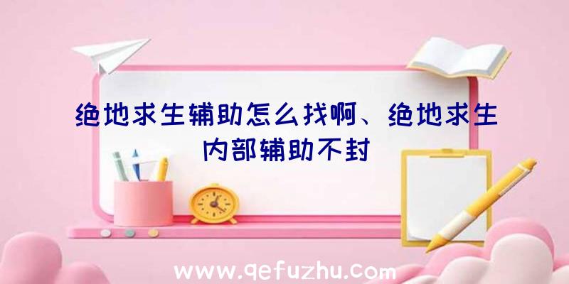 绝地求生辅助怎么找啊、绝地求生内部辅助不封