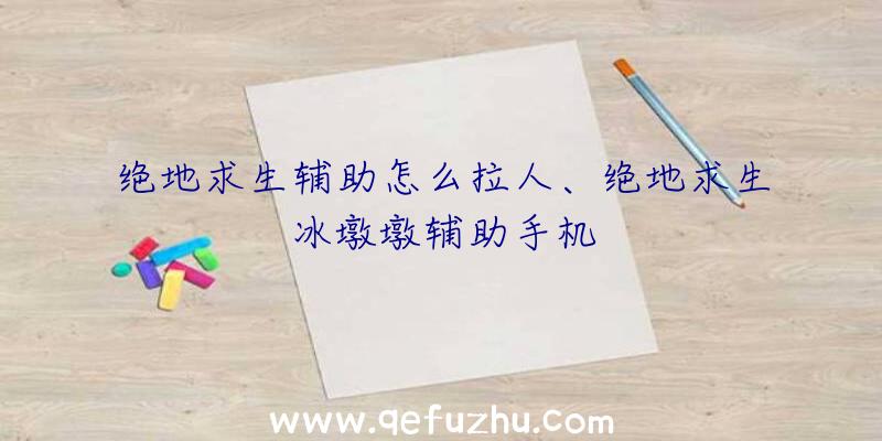 绝地求生辅助怎么拉人、绝地求生冰墩墩辅助手机