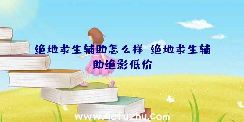 绝地求生辅助怎么样、绝地求生辅助绝影低价