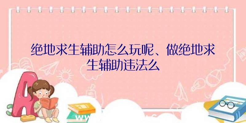 绝地求生辅助怎么玩呢、做绝地求生辅助违法么