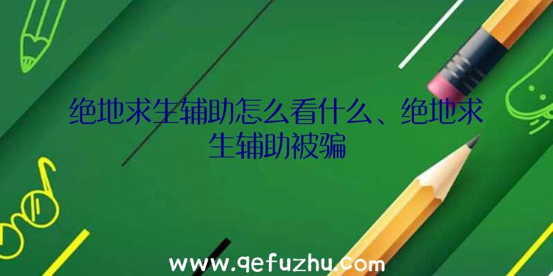 绝地求生辅助怎么看什么、绝地求生辅助被骗