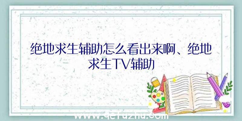 绝地求生辅助怎么看出来啊、绝地求生TV辅助