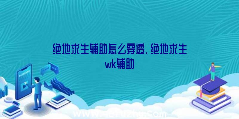 绝地求生辅助怎么穿透、绝地求生wk辅助