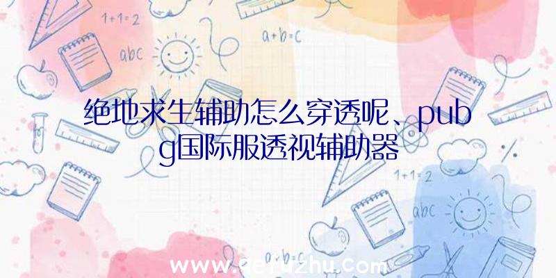 绝地求生辅助怎么穿透呢、pubg国际服透视辅助器