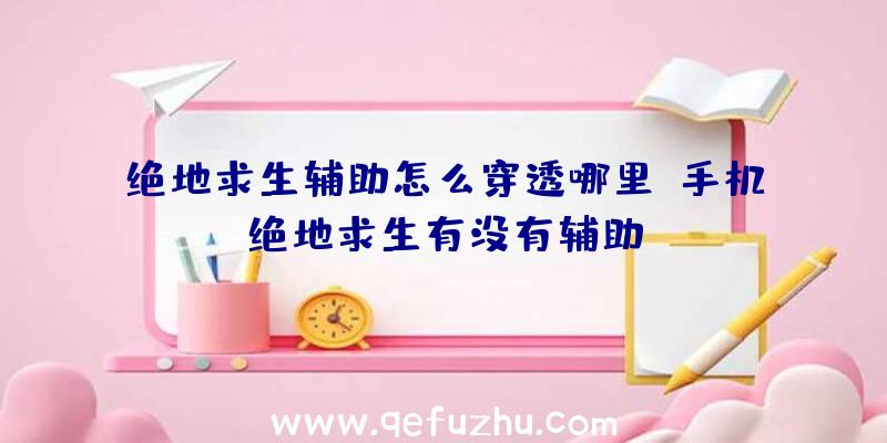 绝地求生辅助怎么穿透哪里、手机绝地求生有没有辅助