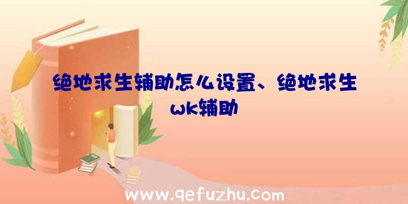 绝地求生辅助怎么设置、绝地求生wk辅助