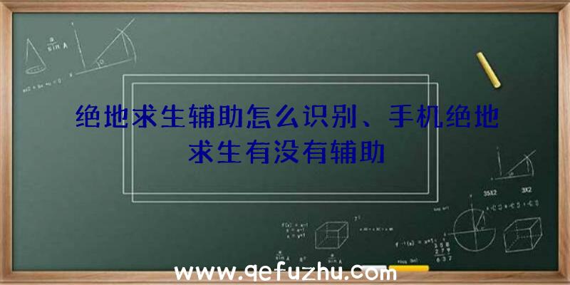 绝地求生辅助怎么识别、手机绝地求生有没有辅助