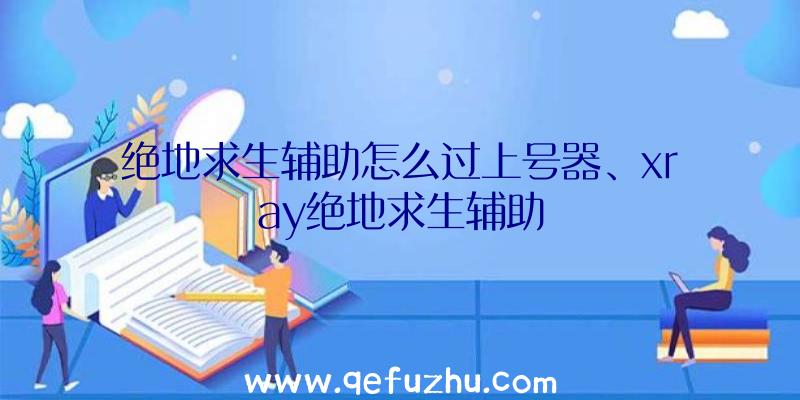 绝地求生辅助怎么过上号器、xray绝地求生辅助