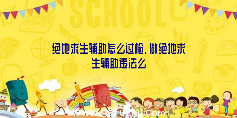 绝地求生辅助怎么过检、做绝地求生辅助违法么