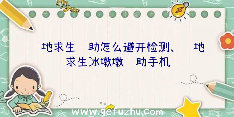 绝地求生辅助怎么避开检测、绝地求生冰墩墩辅助手机