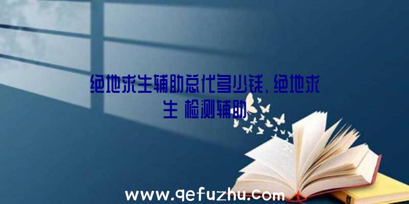 绝地求生辅助总代多少钱、绝地求生